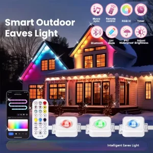 Permanent Outdoor Lights